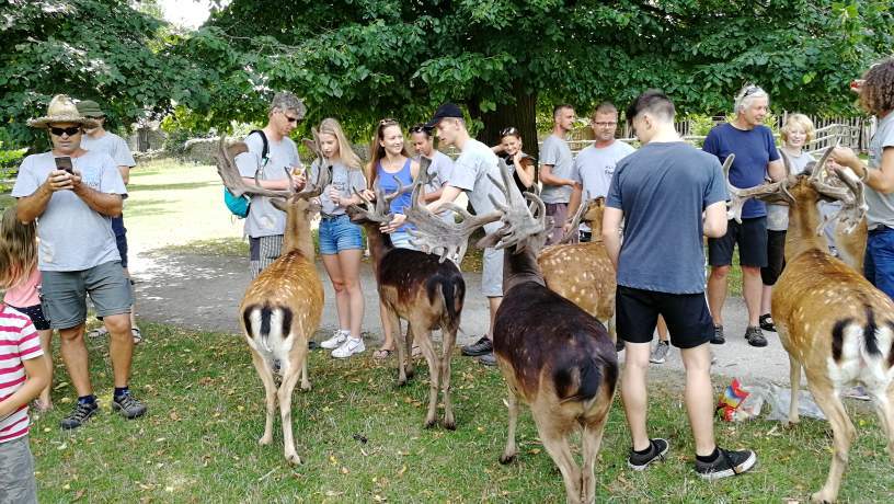 Starší akce – neroztříděná fotogalerie – IMG_20190731_122645.jpg