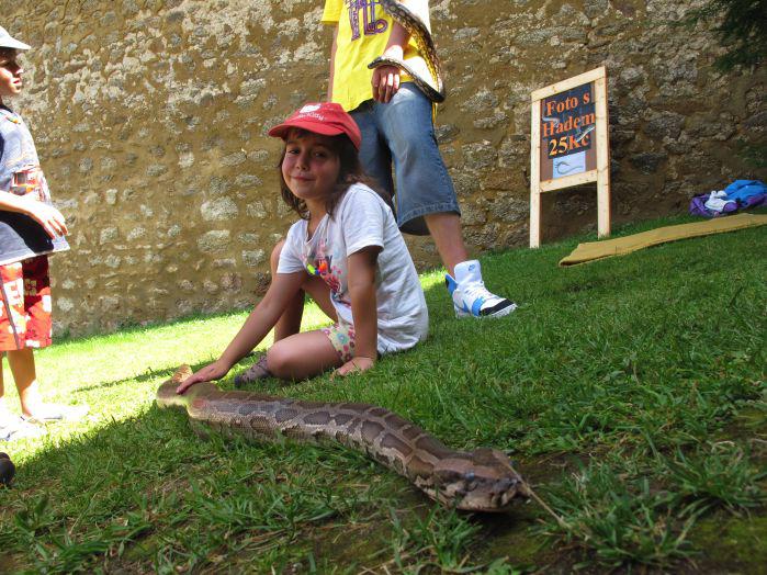 Starší akce – neroztříděná fotogalerie – IMG_7386.jpg